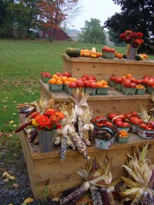 Autumn-Equinox-Mabon-2015